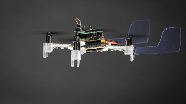 UW researchers develop Smellicopter, autonomous drone guided by live moth antenna