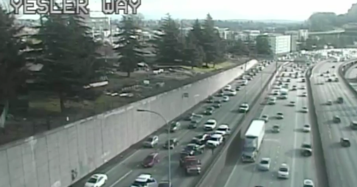 A dozen protesters arrested for blocking lanes on I-5 in Seattle | FOX ...