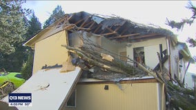 Tacoma woman recovering after tree crashes through bedroom roof during windstorm