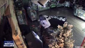 Burglars break into and steal merchandise at a Kitsap County pot shop