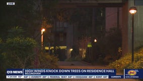 High winds topple trees on Western Washington University residence hall