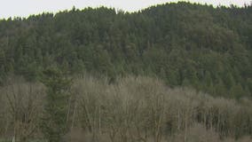 Issaquah man recalls 'odd' encounter with a stranger claiming his father was shot at Poo Poo Point