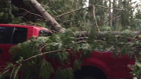 Some Maple Valley families face long day of storm cleanup, another night of power outages