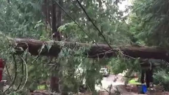 Washington windstorm knocks out power to hundreds of thousands overnight