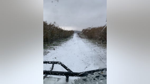 Be winter-ready: 4 important NW winter driving reminders