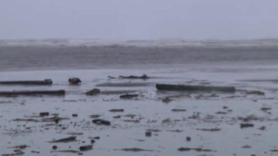 Woman dies after being hit by log thrown by rogue wave at Pacific Beach