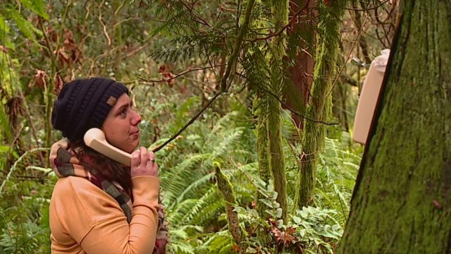 Telephone of the Wind: A chance to say goodbye to lost loved ones