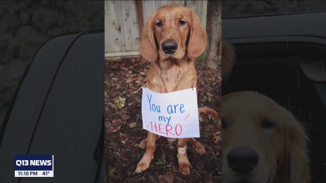 Grateful dog owners looking for couple who helped save puppy after fall at Hurricane Ridge