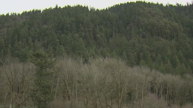 Issaquah man recalls 'odd' encounter with a stranger claiming his father was shot at Poo Poo Point