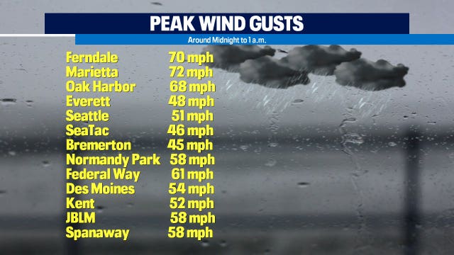 Spokane woman dies after tree falls on car during windstorm