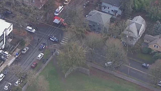 At least 5 pedestrians hit by driver in southeast Portland