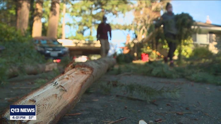 Power outages could last until Saturday for some PSE customers - Vimarsana News