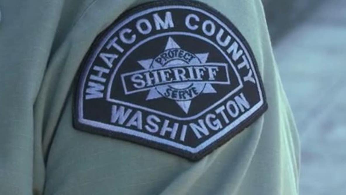 Bellingham, WA woman housing 30 dogs accused of animal cruelty