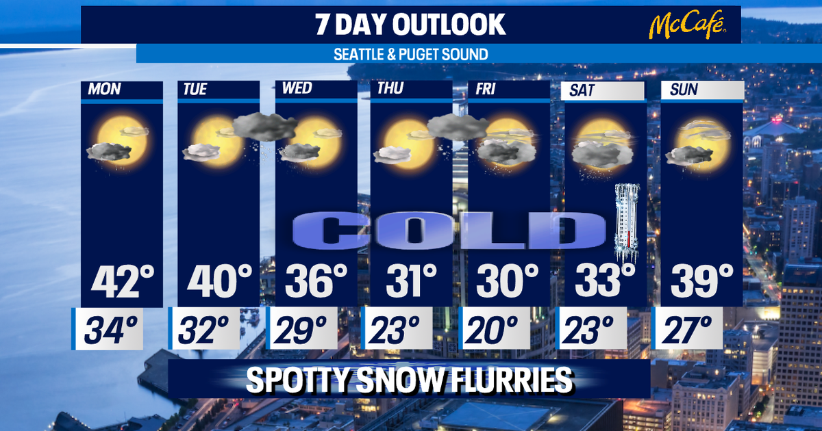 Drying out and diving into the cold zone | FOX 13 Seattle