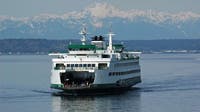 Construction begins on WA's first new ferry in over a decade