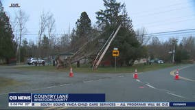 Strong winds, power outages arrive in North Sound
