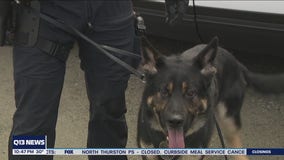 Meet Des Moines PD's two new K9s