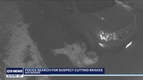'That's somebody evil:' Search on for suspect randomly cutting brakes in south King County