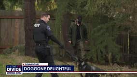 Brandi Kruse: These state lawmakers could take my job