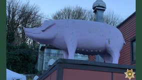 Hogwash: Thieves steal giant fiber glass pig from Woodinville saloon's rooftop