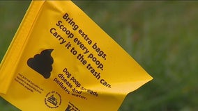 City of Kirkland to flag un-scooped pet waste at two parks