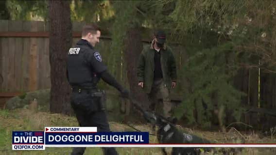 Brandi Kruse: These state lawmakers could take my job