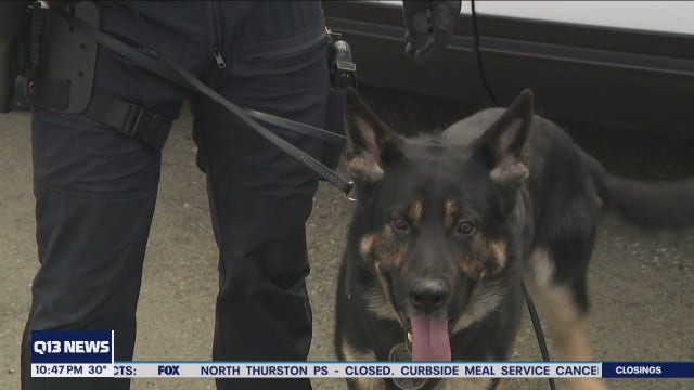 Meet Des Moines PD's two new K9s