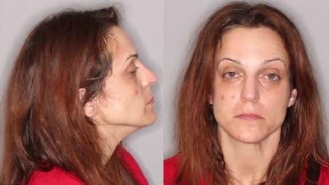 Megan Aiello: Wanted felon accused of stealing plants from store, driving through gate and hurting pedestrian