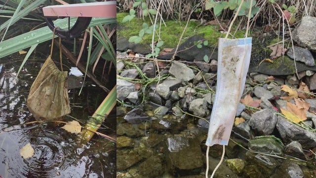 Disposable face masks, gloves polluting Puget Sound streets and shores