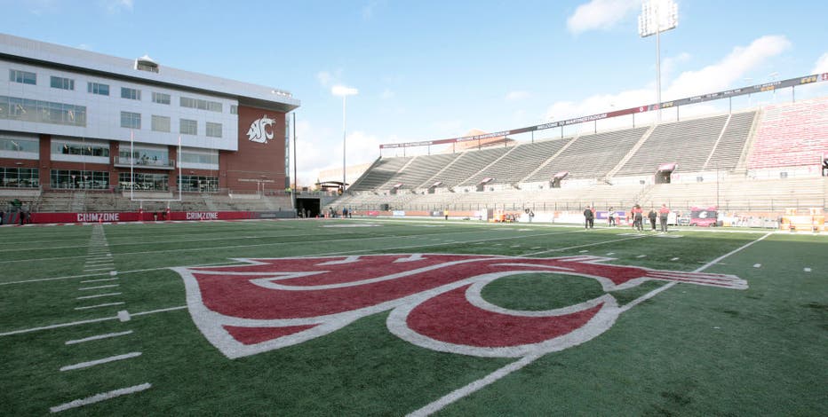 Martin stadium online