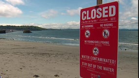 Another sewage spill closes water at Golden Gardens, portions of Kitsap County shorelines