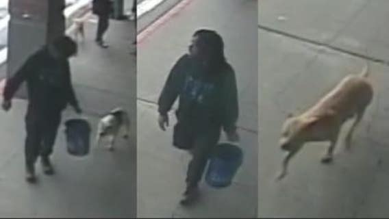 Help ID 'person of interest' in brutal beating of grocery store shopper