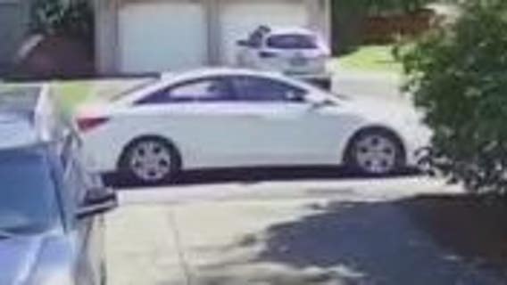 Kitsap County deputies search for man who allegedly used dog to entice young children