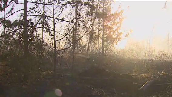 Pierce County fire crews battle brush fire near Eatonville