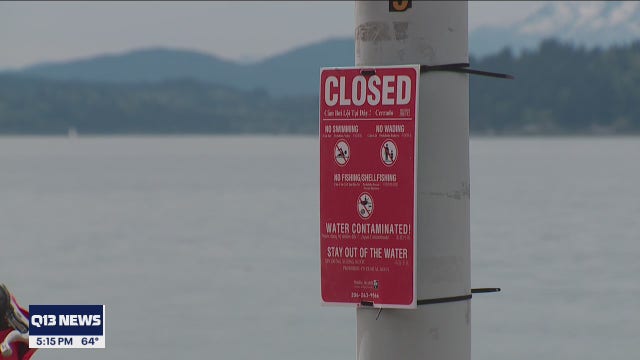 Portion of Alki Beach closed after sewage spill now reopened