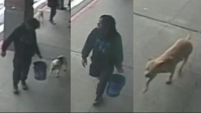 Help ID 'person of interest' in brutal beating of grocery store shopper