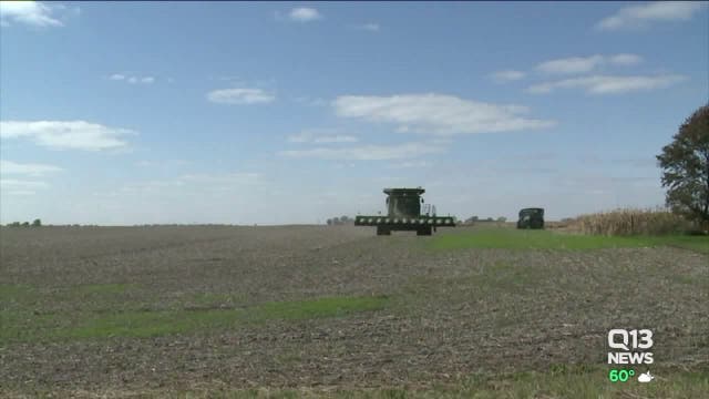 Washington state judge blocks some virus rules on farms