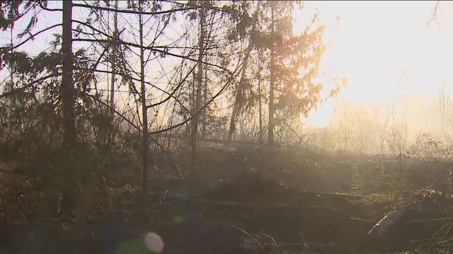 Pierce County fire crews battle brush fire near Eatonville