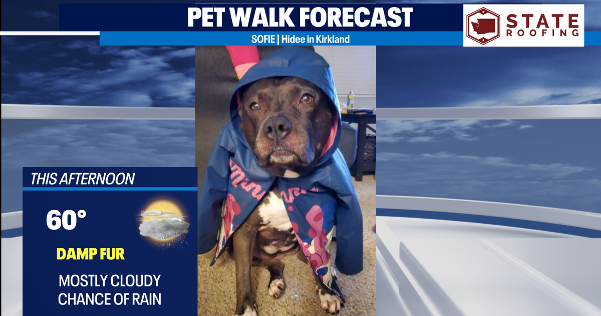 Warming up mid-week | FOX 13 Seattle