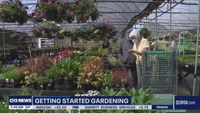 Gardening with Tim: Getting started in the garden