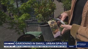 Gardening with Tim: Making the most of small spaces