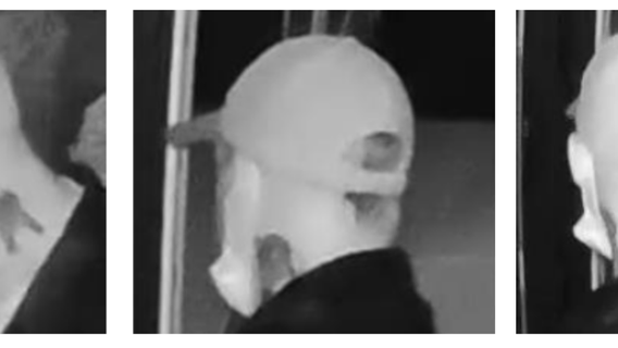 CAPTURED: Tacoma Police say suspect in attempted sexual assault of 77-year-old woman in in custody