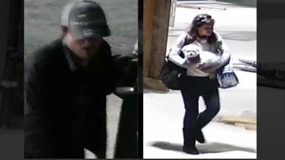 Copper wire crooks: Help ID suspects seen stealing from construction site; one carried dog during the crime