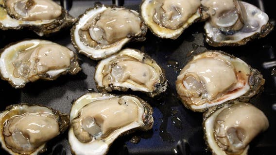 Hoodsport area to open for shellfish harvesting