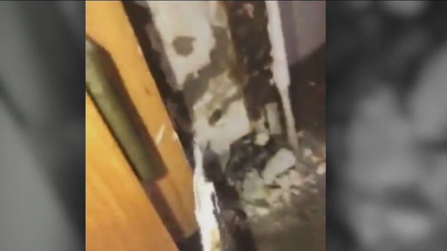 'Mold saunas:' Military family claims JBLM housing as source of sickness