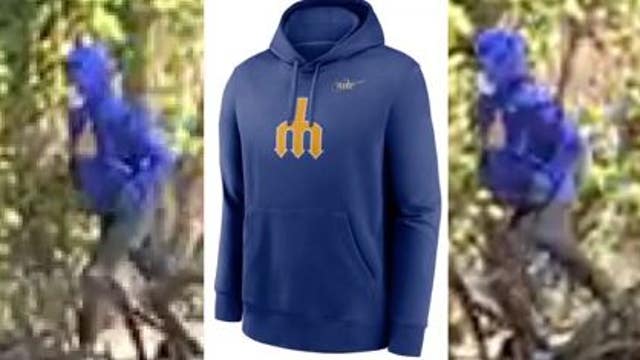 Listen to barrage of gunfire near park to help identify suspects who shot toddler and 3 men