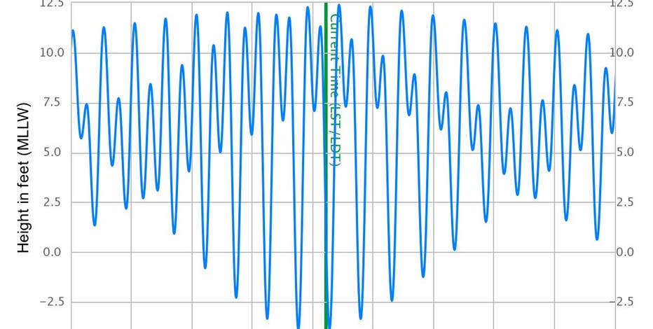 Peak Spring Tides Create 19-Foot Tidal Swing In Puget Sound