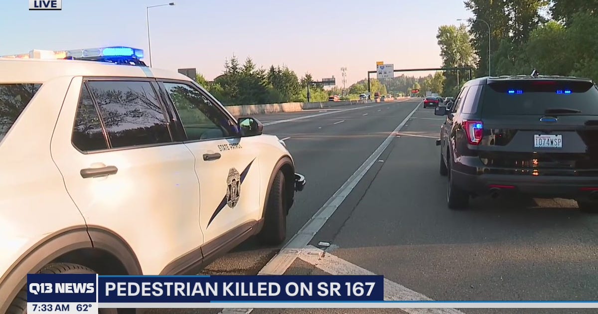 Pedestrian hit and killed on SR 167 in Renton | FOX 13 Seattle