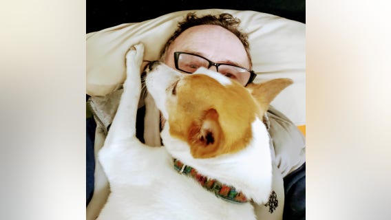 'She's all I had:' Man speaks out after stranger kills his dog in random downtown Seattle attack