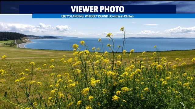 Briefly cooler before dangerous heat returns to the PNW